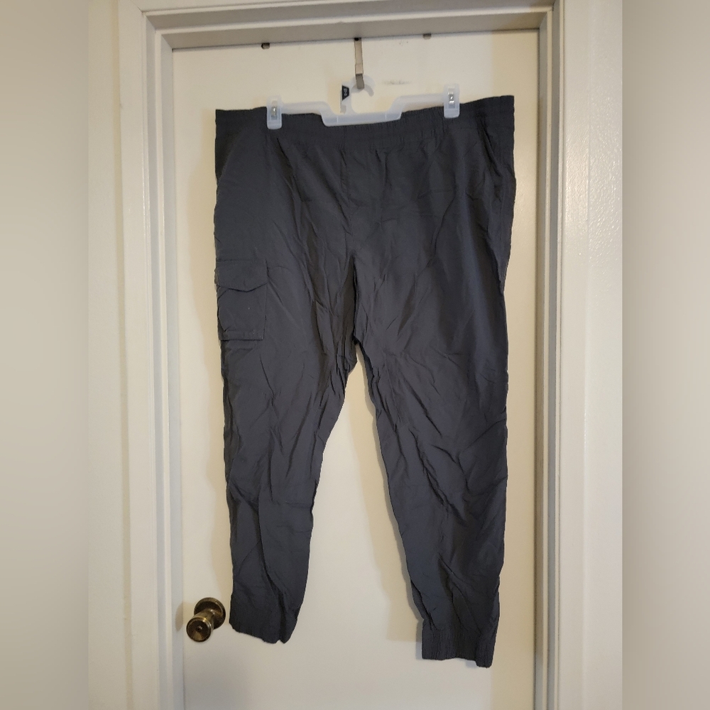 Columbia Gray Hiking Pant Size 2X